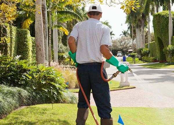 About Lowber PA Pest Control